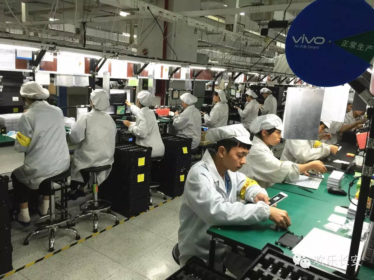 vivo公司重庆茶园生产基地